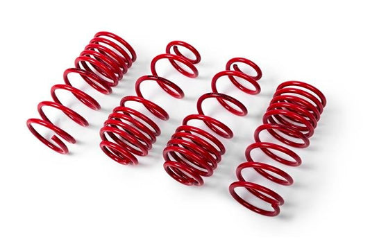 BMW F10 520D / 530D 
MTS technik lowering springs